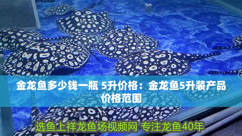 金龍魚多少錢一瓶 5升價格：金龍魚5升裝產品價格范圍