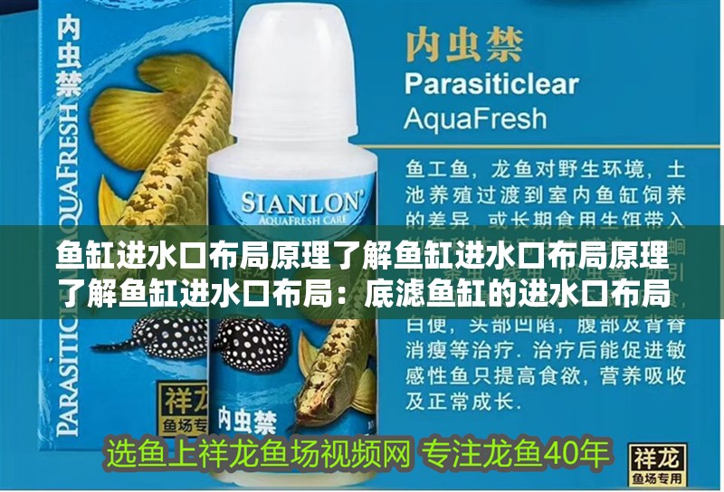 魚缸進水口布局原理了解魚缸進水口布局原理了解魚缸進水口布局：底濾魚缸的進水口布局原理