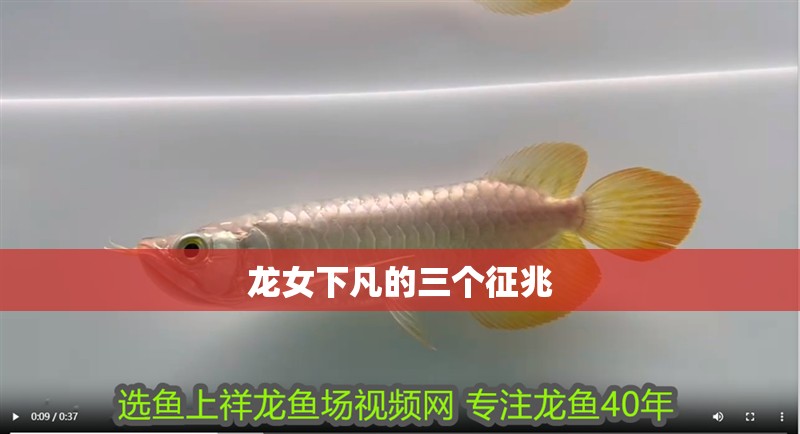 龍女下凡的三個征兆