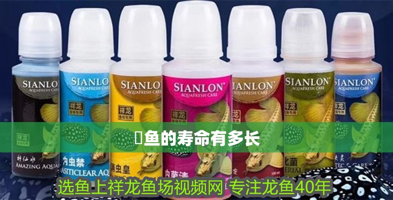 魟魚的壽命有多長