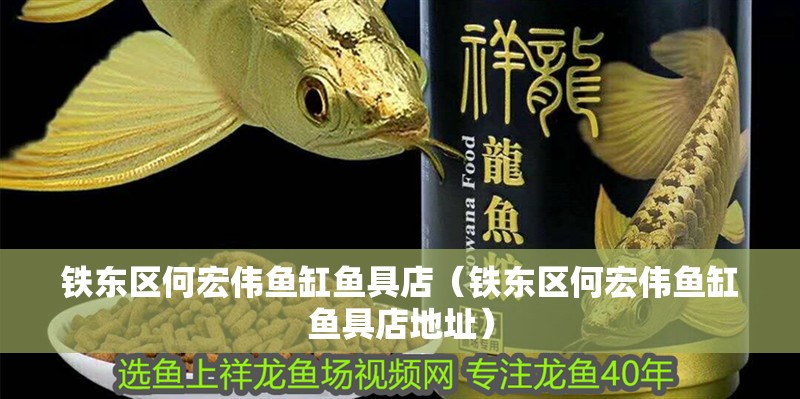 鐵東區(qū)何宏偉魚缸魚具店（鐵東區(qū)何宏偉魚缸魚具店地址）