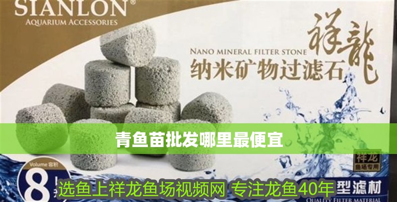 青魚苗批發哪里最便宜