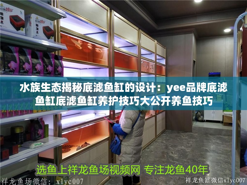 水族生態(tài)揭秘底濾魚缸的設計：yee品牌底濾魚缸底濾魚缸養(yǎng)護技巧大公開養(yǎng)魚技巧