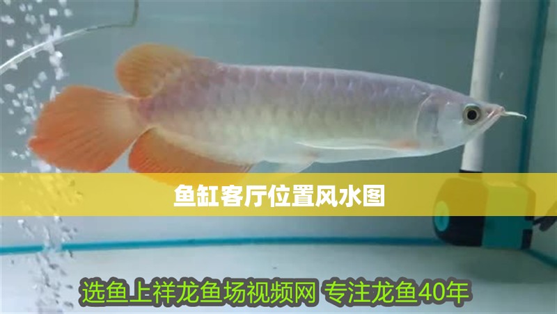 魚缸客廳位置風(fēng)水圖
