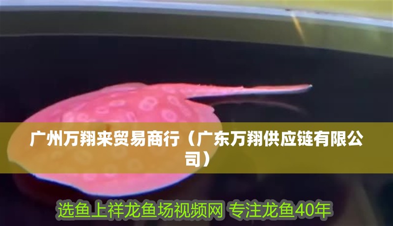 廣州萬翔來貿(mào)易商行（廣東萬翔供應鏈有限公司）