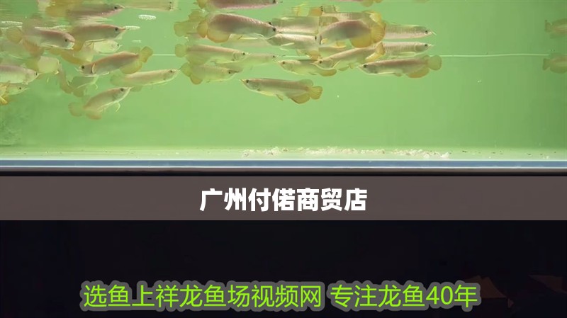 廣州付偌商貿店