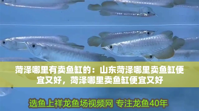 菏澤哪里有賣魚缸的：山東菏澤哪里賣魚缸便宜又好，菏澤哪里賣魚缸便宜又好