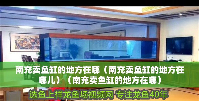 南充賣魚(yú)缸的地方在哪（南充賣魚(yú)缸的地方在哪兒）（南充賣魚(yú)缸的地方在哪）