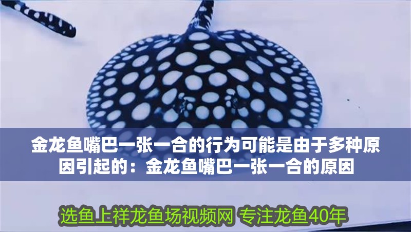 金龍魚嘴巴一張一合的行為可能是由于多種原因引起的：金龍魚嘴巴一張一合的原因