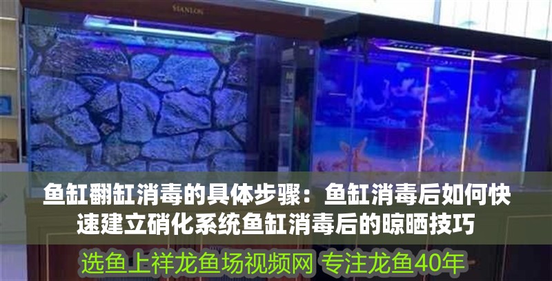 魚缸翻缸消毒的具體步驟：魚缸消毒后如何快速建立硝化系統魚缸消毒后的晾曬技巧