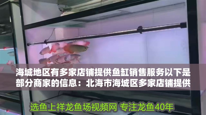 海城地區有多家店鋪提供魚缸銷售服務以下是部分商家的信息：北海市海城區多家店鋪提供魚缸銷售服務