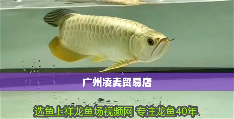 廣州凌麥貿(mào)易店