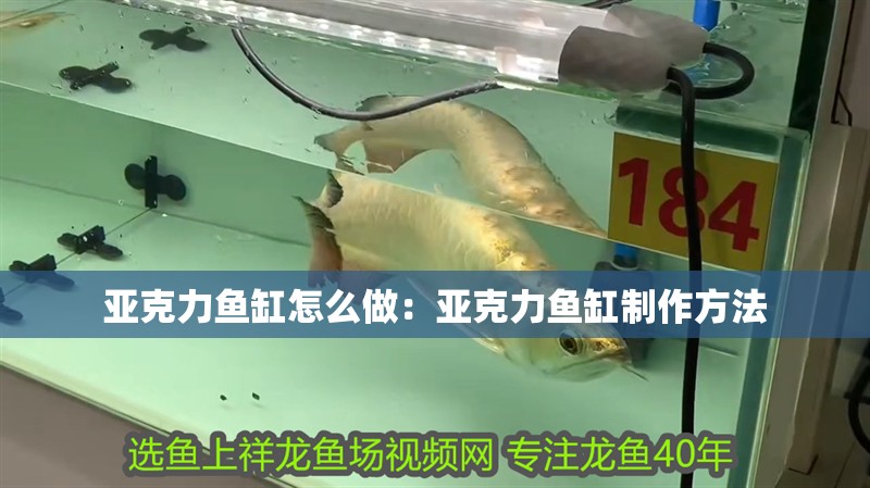 亞克力魚缸怎么做：亞克力魚缸制作方法