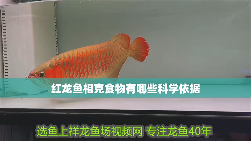 紅龍魚相克食物有哪些科學(xué)依據(jù)
