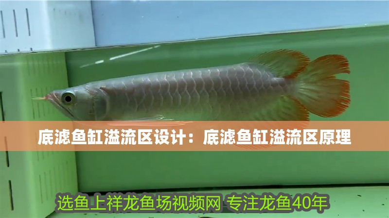 底濾魚缸溢流區設計：底濾魚缸溢流區原理