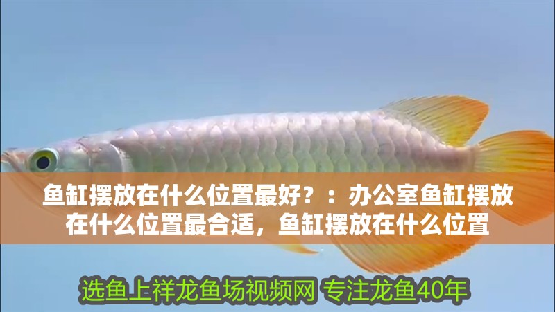 魚缸擺放在什么位置最好？：辦公室魚缸擺放在什么位置最合適，魚缸擺放在什么位置