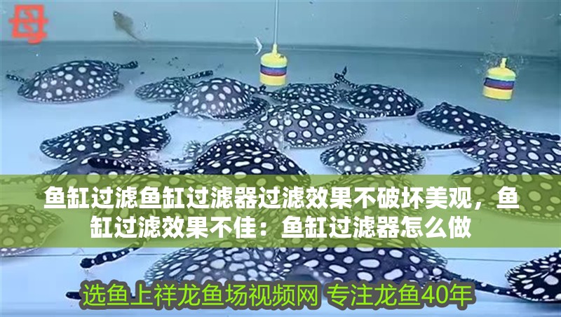 魚缸過濾魚缸過濾器過濾效果不破壞美觀，魚缸過濾效果不佳：魚缸過濾器怎么做