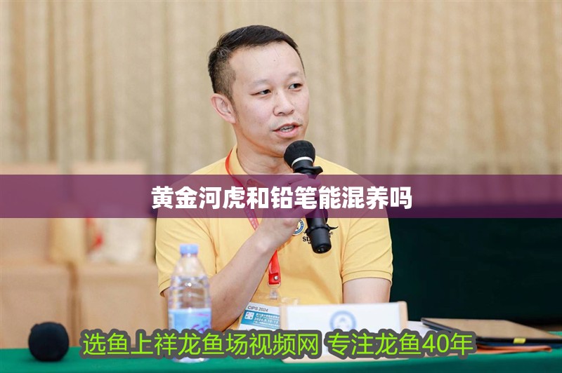 黃金河虎和鉛筆能混養嗎