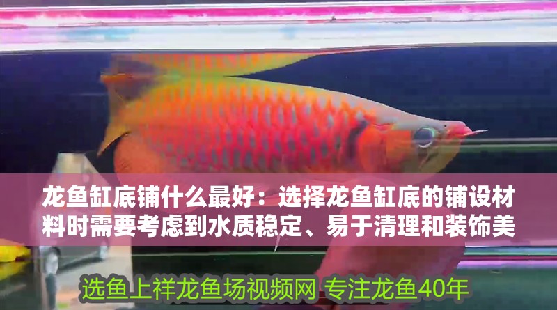 龍魚缸底鋪什么最好：選擇龍魚缸底的鋪設(shè)材料時需要考慮到水質(zhì)穩(wěn)定、易于清理和裝飾美觀等因素