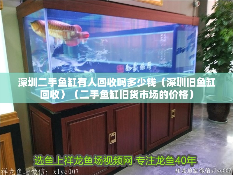 深圳二手魚缸有人回收嗎多少錢（深圳舊魚缸回收）（二手魚缸舊貨市場的價格）