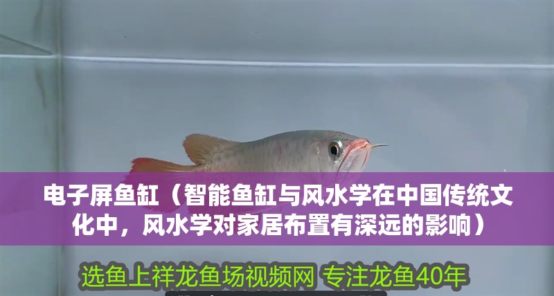 紅龍魚用黃燈烤有用嗎 電子屏魚缸(智能魚缸與風水學在中國傳統文化中,風水學對家居布置有深遠的影響) 魚缸百科 電子屏魚缸(智能魚缸與風水學在中國傳統文化中,風水學對家居布置有深遠的影響) 電子屏魚缸(智能魚缸與風水學在中國傳統文化中,風水學對家居布置有深遠的影響) 魚缸百科