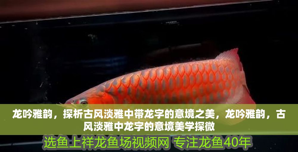 龍吟雅韻，探析古風淡雅中帶龍字的意境之美，龍吟雅韻，古風淡雅中龍字的意境美學探微