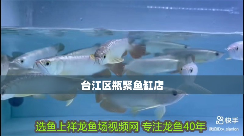 臺江區瓶聚魚缸店