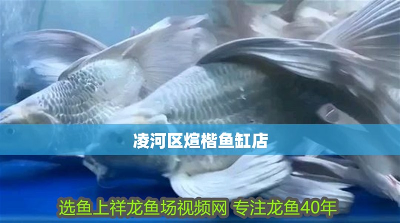 凌河區(qū)煊楷魚缸店