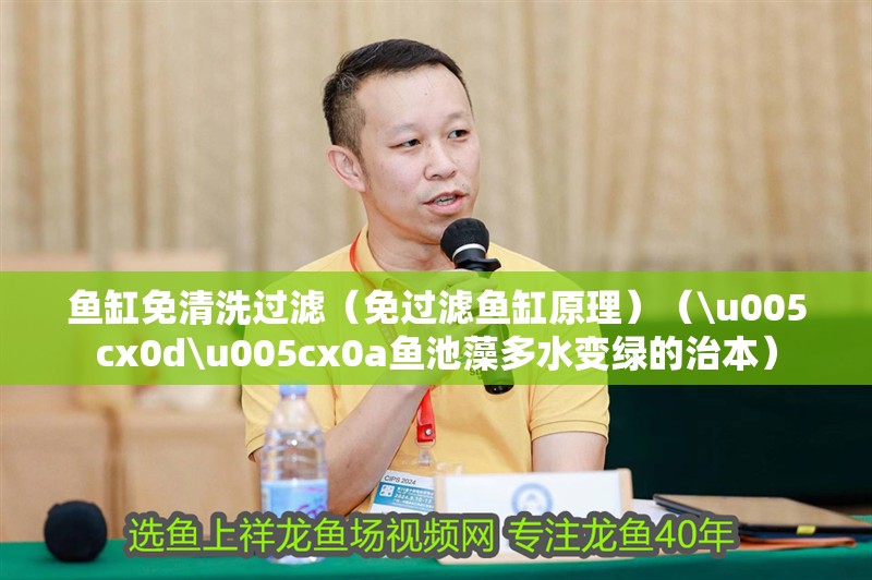 魚缸免清洗過濾（免過濾魚缸原理）（\u005cx0d\u005cx0a魚池藻多水變綠的治本）