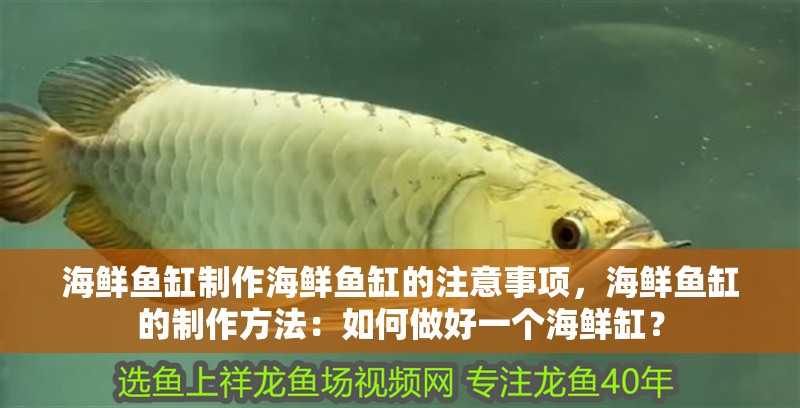 海鮮魚缸制作海鮮魚缸的注意事項，海鮮魚缸的制作方法：如何做好一個海鮮缸？