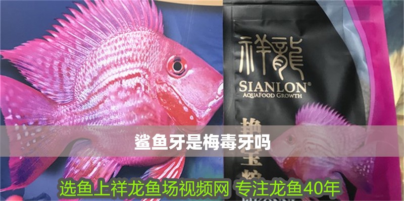 鯊魚牙是梅毒牙嗎