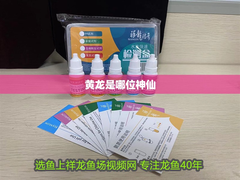 黃龍是哪位神仙 黃龍是哪位神仙 龍魚論壇