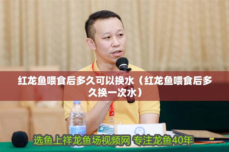 紅龍魚喂食后多久可以換水（紅龍魚喂食后多久換一次水）