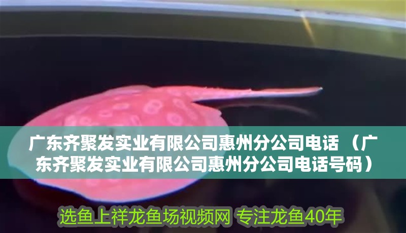 廣東齊聚發實業有限公司惠州分公司電話 （廣東齊聚發實業有限公司惠州分公司電話號碼）