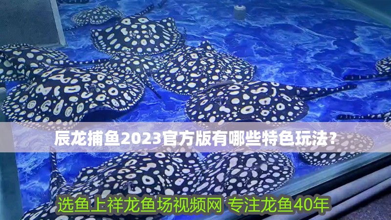 辰龍捕魚2023官方版有哪些特色玩法？
