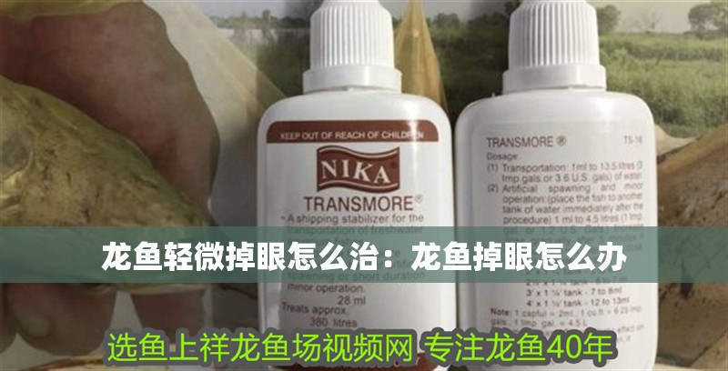 龍魚輕微掉眼怎么治：龍魚掉眼怎么辦