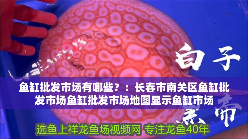 魚缸批發(fā)市場有哪些？：長春市南關(guān)區(qū)魚缸批發(fā)市場魚缸批發(fā)市場地圖顯示魚缸市場