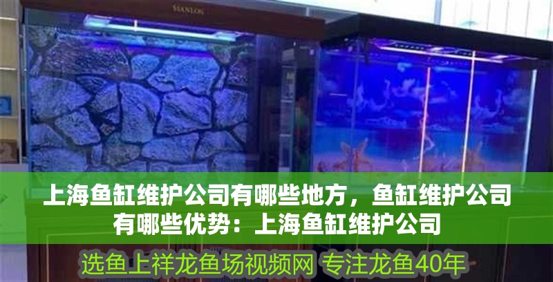 上海魚缸維護公司有哪些地方，魚缸維護公司有哪些優勢：上海魚缸維護公司