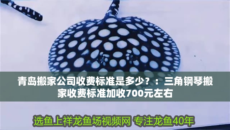 青島搬家公司收費標準是多少？：三角鋼琴搬家收費標準加收700元左右