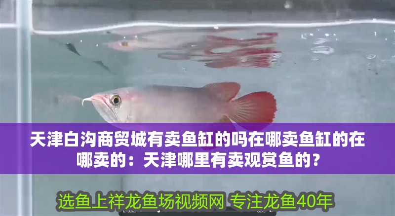 天津白溝商貿城有賣魚缸的嗎在哪賣魚缸的在哪賣的：天津哪里有賣觀賞魚的？
