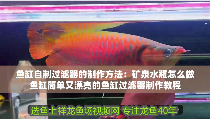 魚缸自制過濾器的制作方法：礦泉水瓶怎么做魚缸簡單又漂亮的魚缸過濾器制作教程