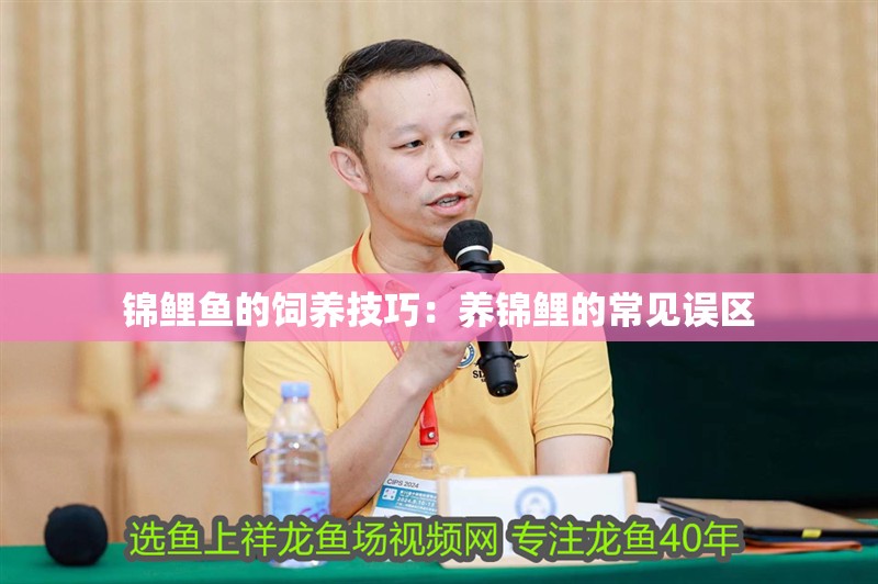 錦鯉魚的飼養技巧：養錦鯉的常見誤區