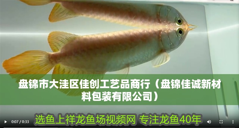 盤錦市大洼區佳創工藝品商行（盤錦佳誠新材料包裝有限公司）