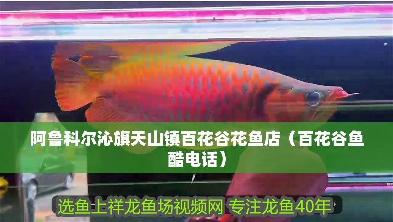 阿魯科爾沁旗天山鎮(zhèn)百花谷花魚店（百花谷魚酷電話）