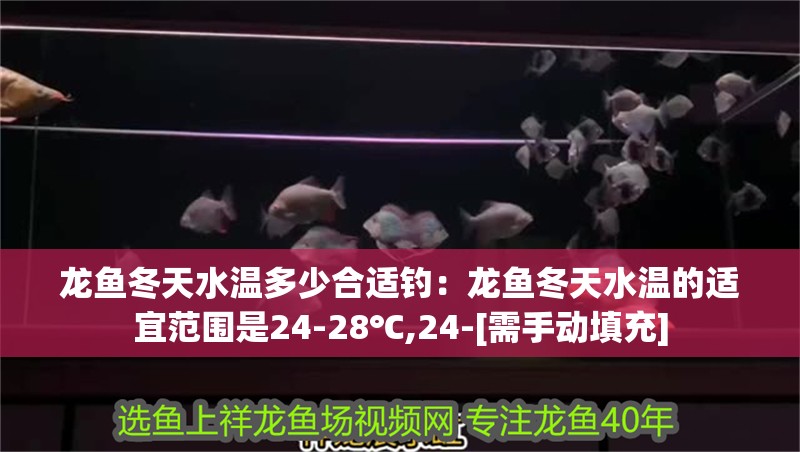 龍魚冬天水溫多少合適釣：龍魚冬天水溫的適宜范圍是24-28℃,24-[需手動(dòng)填充]