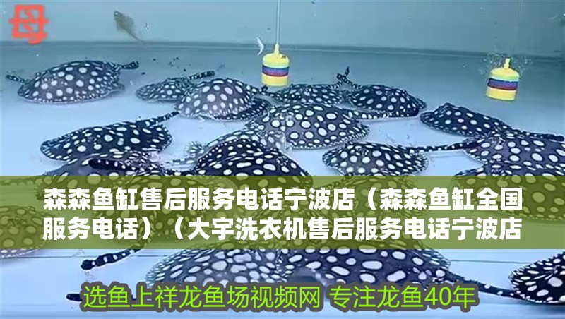 森森魚缸售后服務電話寧波店（森森魚缸全國服務電話）（大宇洗衣機售后服務電話寧波店森森魚缸售后服務電話）