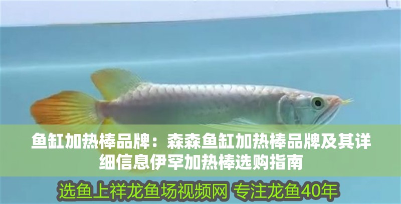 魚缸加熱棒品牌：森森魚缸加熱棒品牌及其詳細信息伊罕加熱棒選購指南