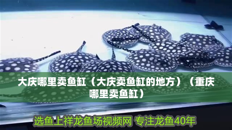 大慶哪里賣魚缸（大慶賣魚缸的地方）（重慶哪里賣魚缸）
