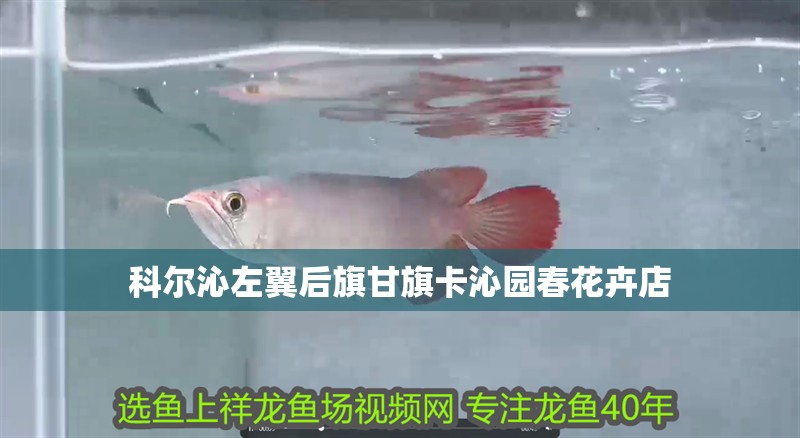 科爾沁左翼后旗甘旗卡沁園春花卉店