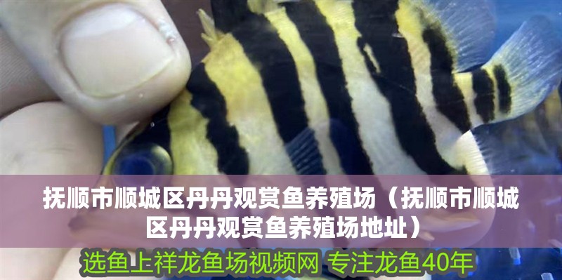 魚缸用增氧泵價格是多少:魚缸增氧機-xtrac增氧機-xtrac增氧機 撫順市順城區丹丹觀賞魚養殖場(撫順市順城區丹丹觀賞魚養殖場地址) 全國水族館企業名錄 撫順市順城區丹丹觀賞魚養殖場(撫順市順城區丹丹觀賞魚養殖場地址) 撫順市順城區丹丹觀賞魚養殖場(撫順市順城區丹丹觀賞魚養殖場地址) 全國水族館企業名錄